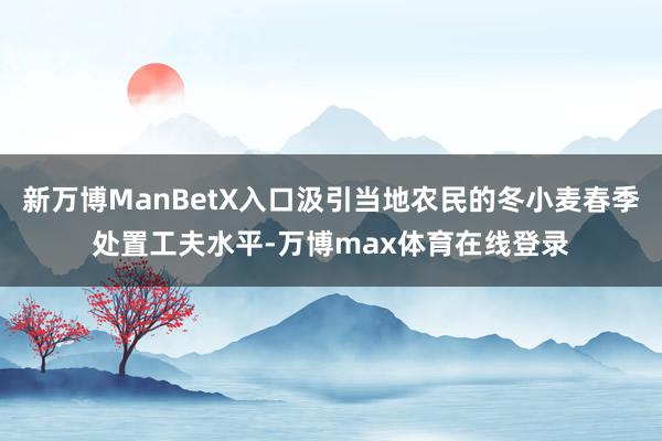 新万博ManBetX入口汲引当地农民的冬小麦春季处置工夫水平-万博max体育在线登录