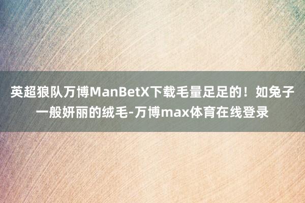 英超狼队万博ManBetX下载毛量足足的！如兔子一般妍丽的绒毛-万博max体育在线登录