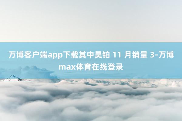 万博客户端app下载其中昊铂 11 月销量 3-万博max体育在线登录
