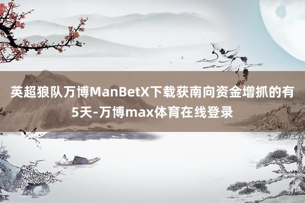 英超狼队万博ManBetX下载获南向资金增抓的有5天-万博max体育在线登录