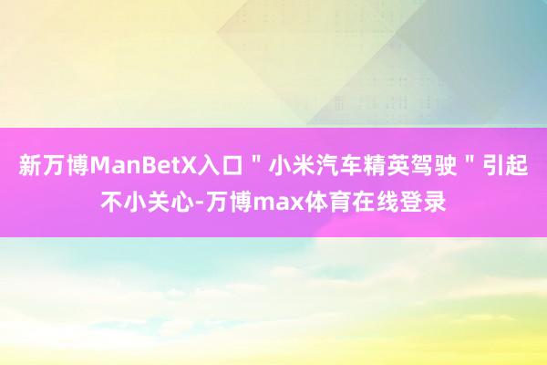新万博ManBetX入口"小米汽车精英驾驶"引起不小关心-万博max体育在线登录
