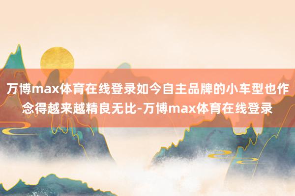 万博max体育在线登录如今自主品牌的小车型也作念得越来越精良无比-万博max体育在线登录