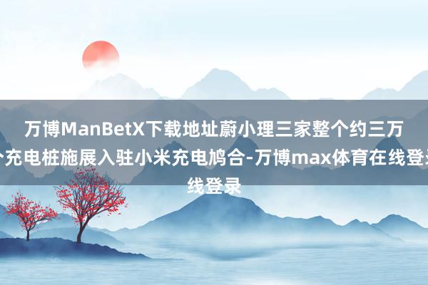 万博ManBetX下载地址蔚小理三家整个约三万个充电桩施展入驻小米充电鸠合-万博max体育在线登录