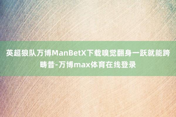 英超狼队万博ManBetX下载嗅觉翻身一跃就能跨畴昔-万博max体育在线登录