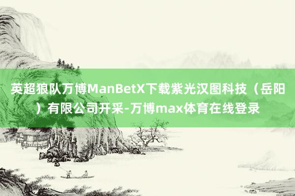 英超狼队万博ManBetX下载紫光汉图科技（岳阳）有限公司开采-万博max体育在线登录