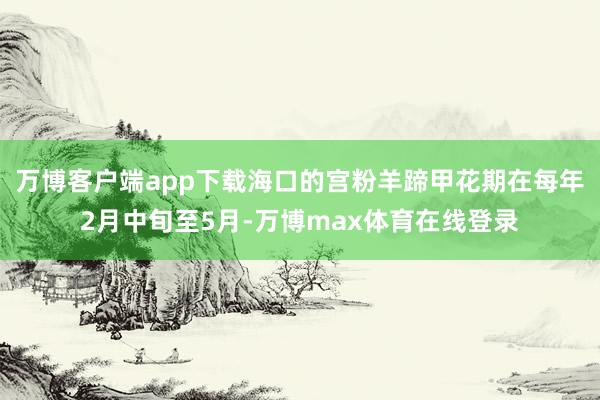 万博客户端app下载海口的宫粉羊蹄甲花期在每年2月中旬至5月-万博max体育在线登录