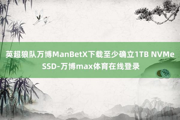 英超狼队万博ManBetX下载至少确立1TB NVMe SSD-万博max体育在线登录