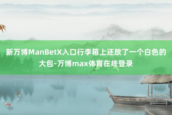 新万博ManBetX入口行李箱上还放了一个白色的大包-万博max体育在线登录