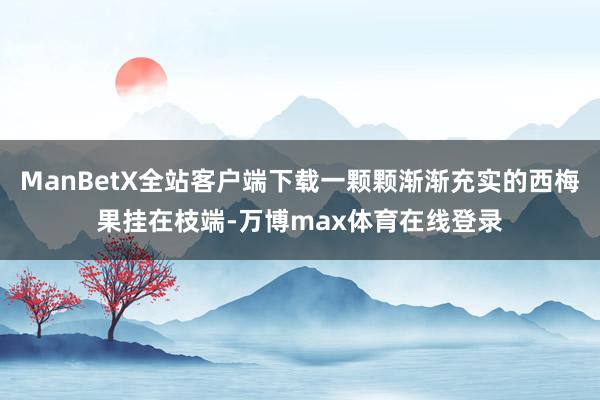 ManBetX全站客户端下载一颗颗渐渐充实的西梅果挂在枝端-万博max体育在线登录