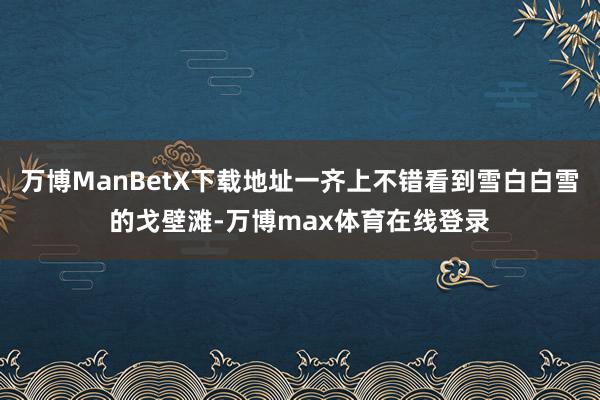 万博ManBetX下载地址一齐上不错看到雪白白雪的戈壁滩-万博max体育在线登录
