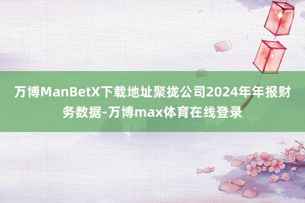 万博ManBetX下载地址聚拢公司2024年年报财务数据-万博max体育在线登录