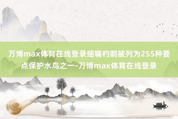 万博max体育在线登录细嘴杓鹬被列为255种要点保护水鸟之一-万博max体育在线登录