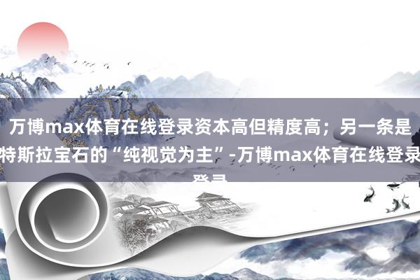 万博max体育在线登录资本高但精度高;另一条是特斯拉宝石的“纯视觉为主”-万博max体育在线登录