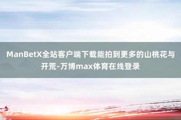 ManBetX全站客户端下载能拍到更多的山桃花与开荒-万博max体育在线登录