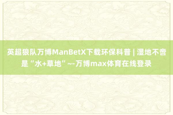 英超狼队万博ManBetX下载环保科普 | 湿地不啻是“水+草地”~-万博max体育在线登录
