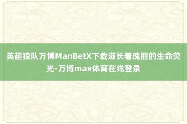 英超狼队万博ManBetX下载滋长着瑰丽的生命荧光-万博max体育在线登录