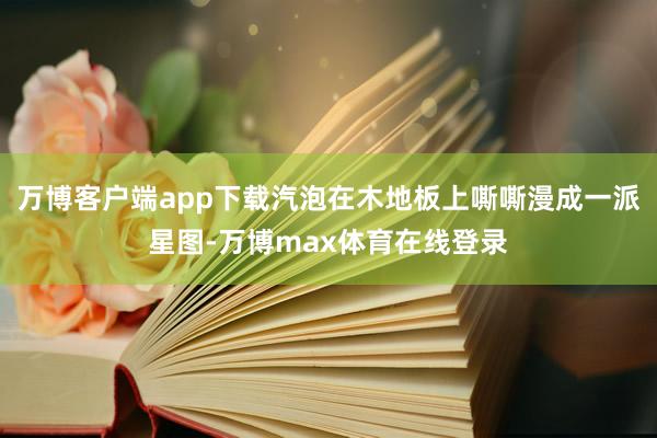 万博客户端app下载汽泡在木地板上嘶嘶漫成一派星图-万博max体育在线登录